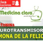 Hormona serotonina Hormona serotonina