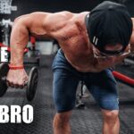 Hombro: Brazo Hombro: Brazo
