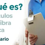 Músculos con fibra blanca Músculos con fibra blanca