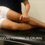 Nervio crural Nervio crural