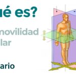 Hipomovilidad: hipomóvil Hipomovilidad: hipomóvil